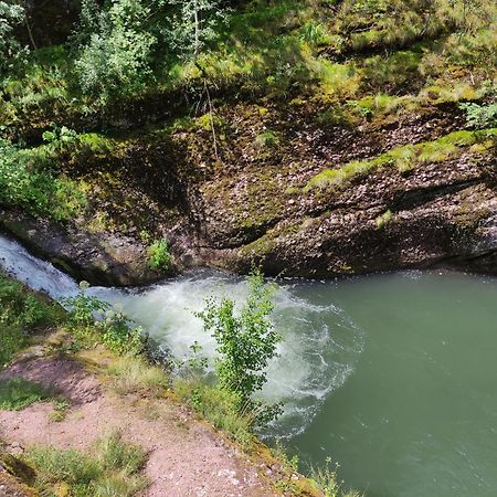 Vila Zapis - Zavojsko Jezero Pirot Luaran gambar